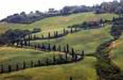 Val d Orcia.jpg