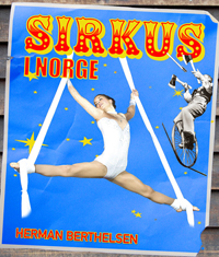 Sirkus i Norge